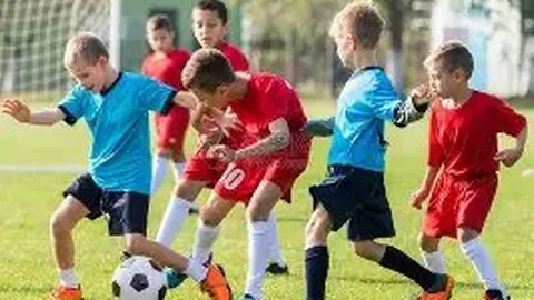 开宝体育 产品 034821 vug