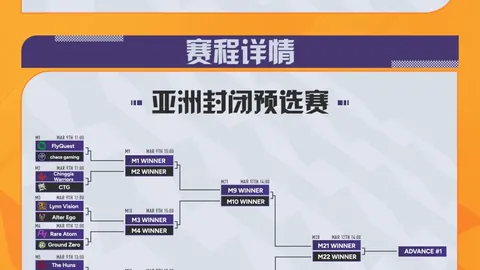 西汉姆联球员马夫罗帕诺斯转会传闻，多特内部曾讨论